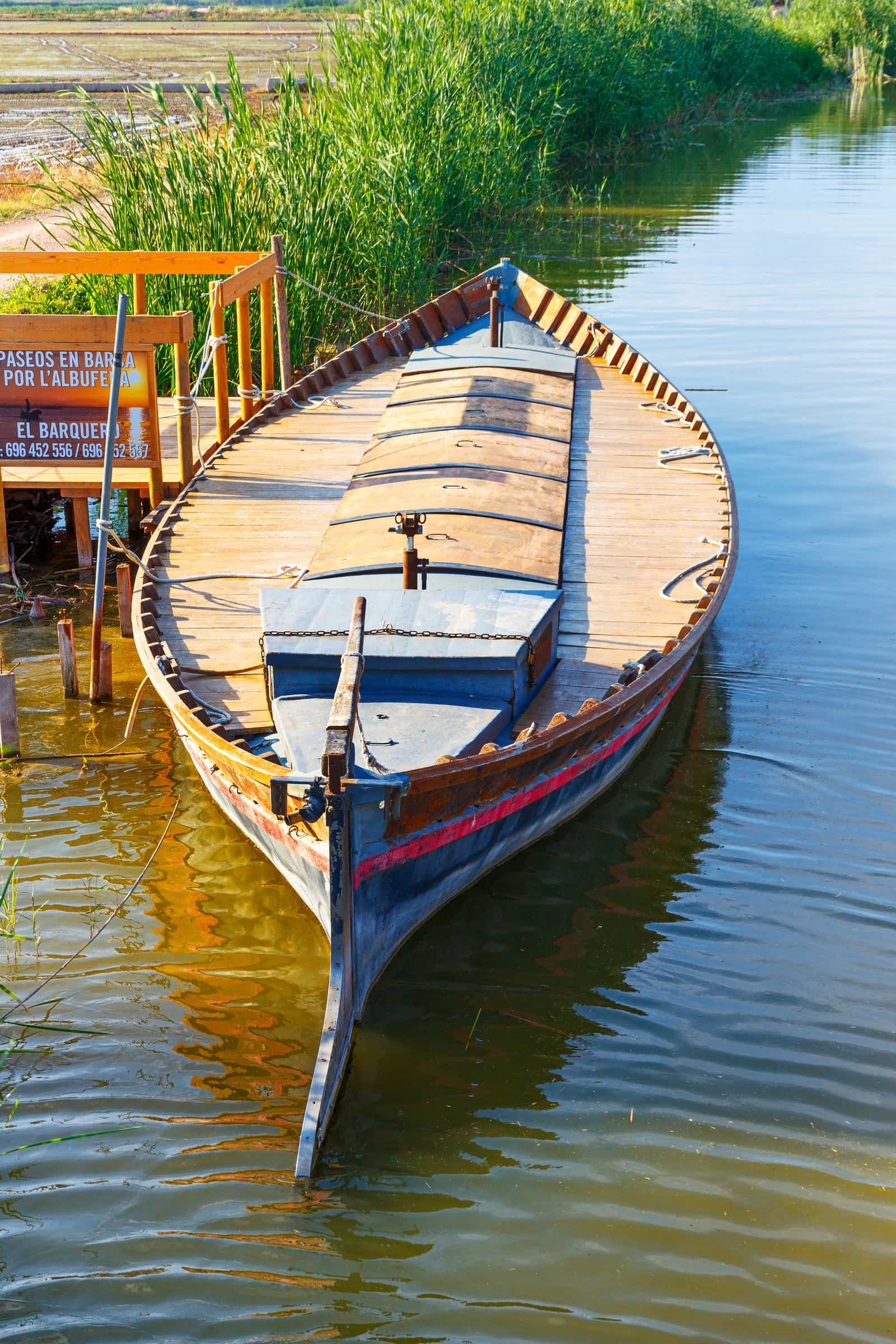 Traditional boat moored on the Albufera lagoon, Valencia