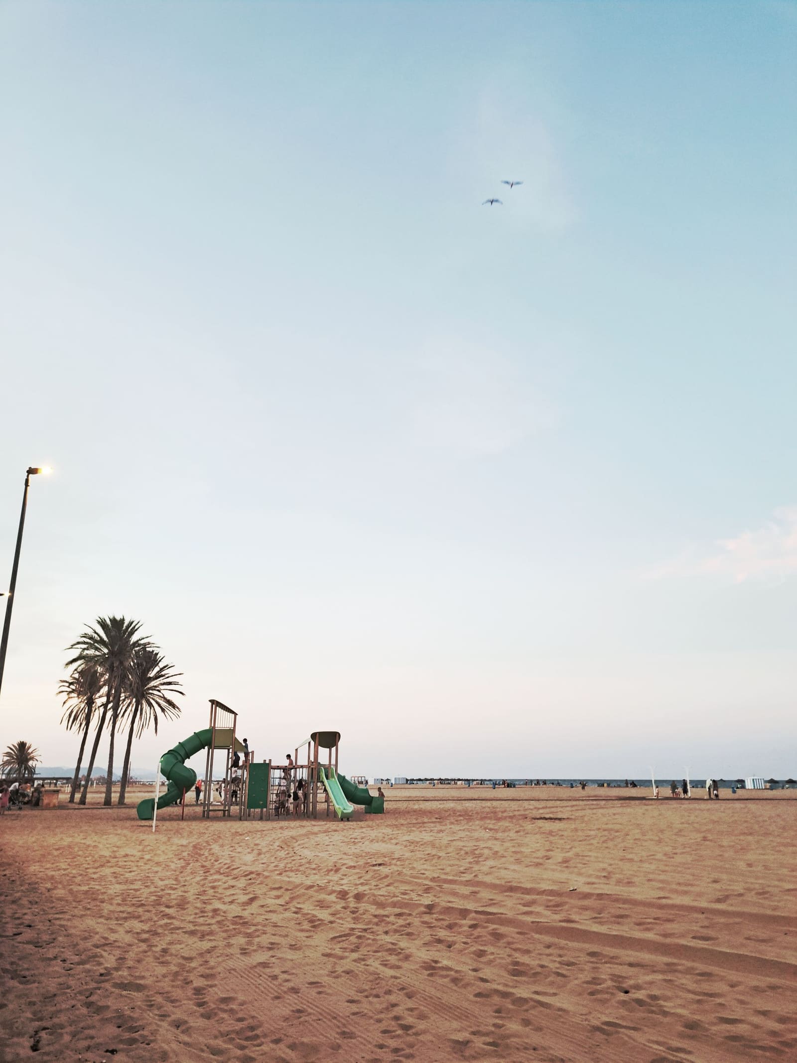 Playground by the beach with palm trees