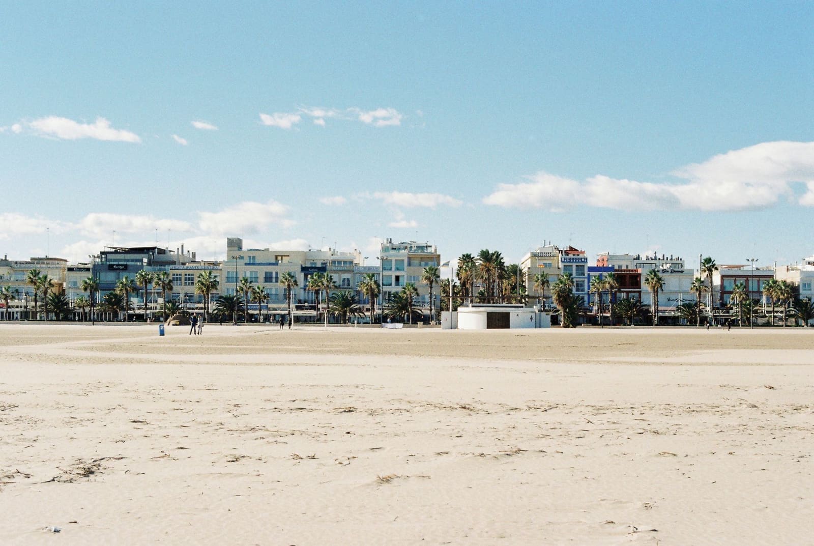 Promenade with palms and colourful buildings by the beach
